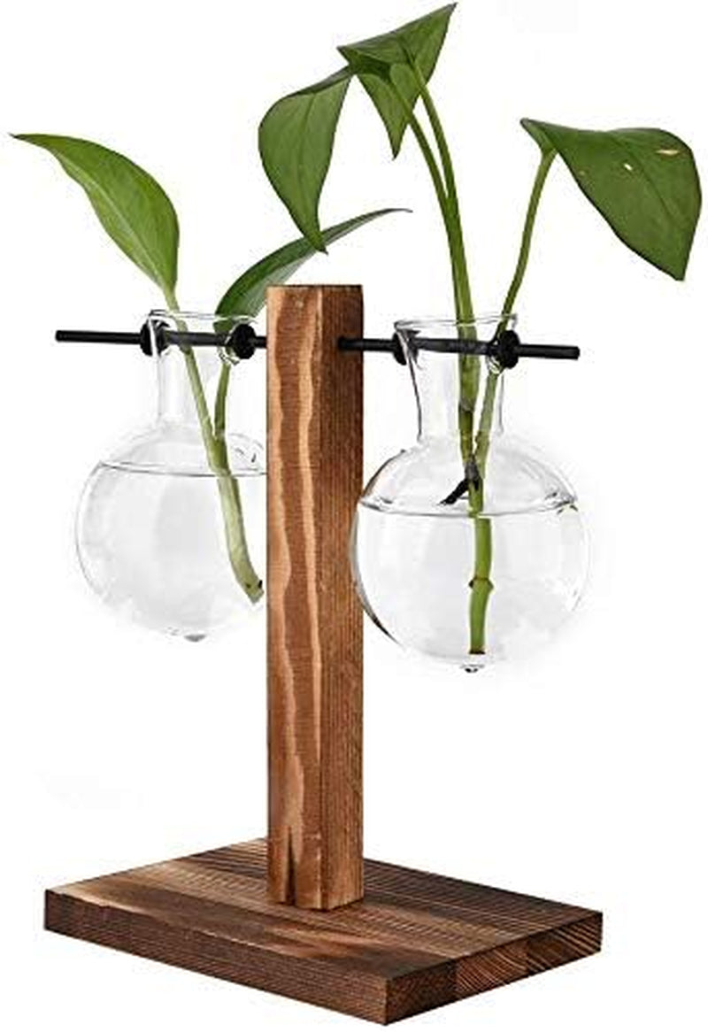 Stand Glass Planter Bulb Vase, Hydroponic Plant Vases with Wooden Stand, Terrarium Boiling Flask-Style Flower Vases Office Desk Wedding Decor